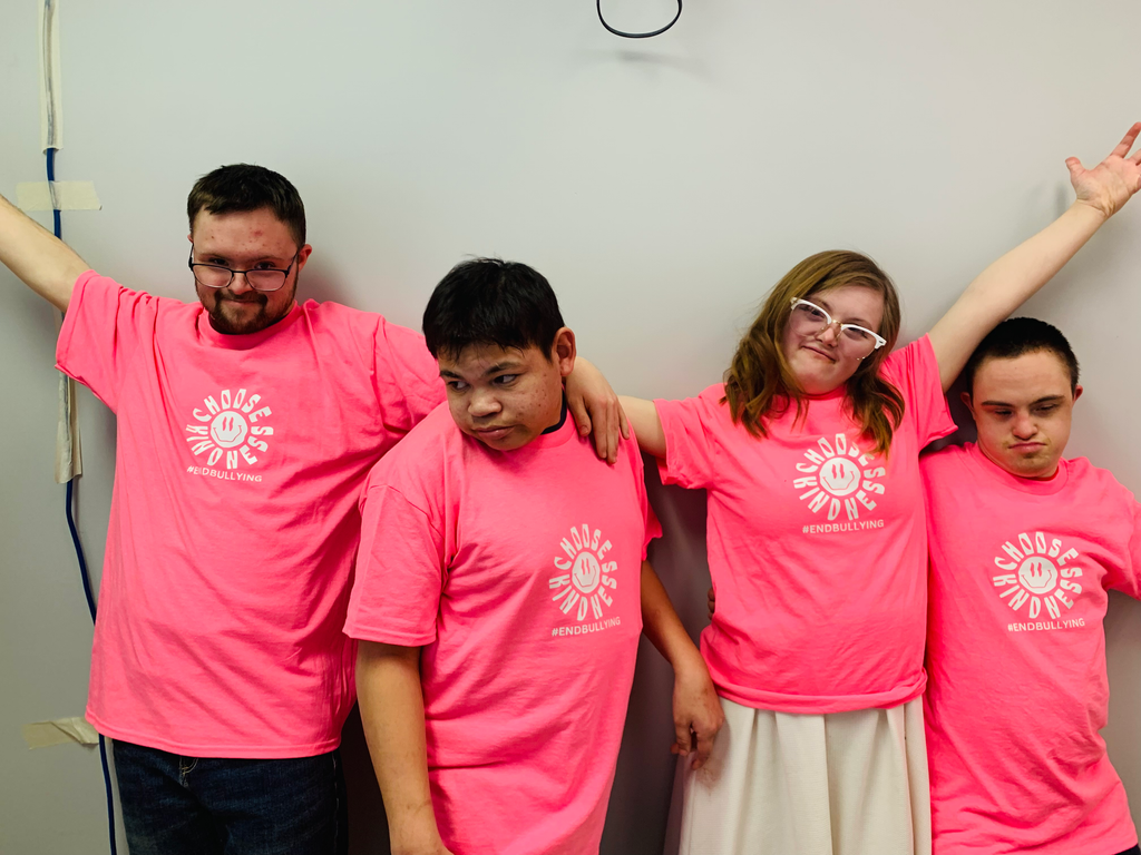 Adult Pink Shirt Day Shirts image 0